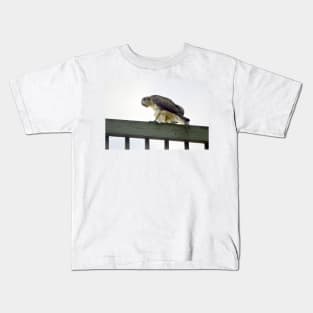 Red Tail Hawk Glare Kids T-Shirt